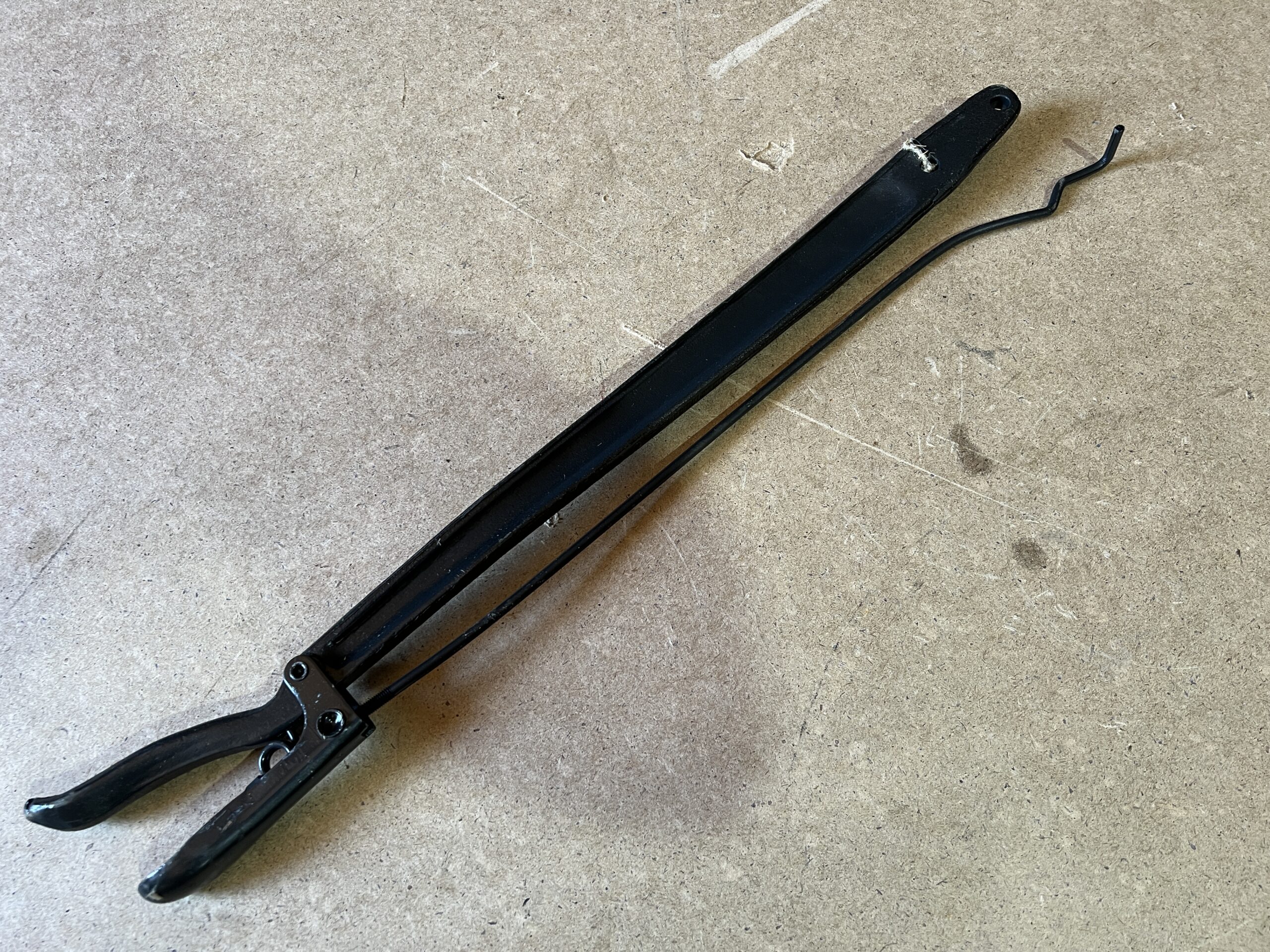 IMG_4937